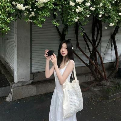 不二神探